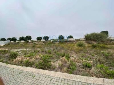 Vente Terrain TORRES-VEDRAS 2560