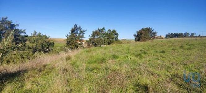 Vente Terrain TORRES-VEDRAS 2560