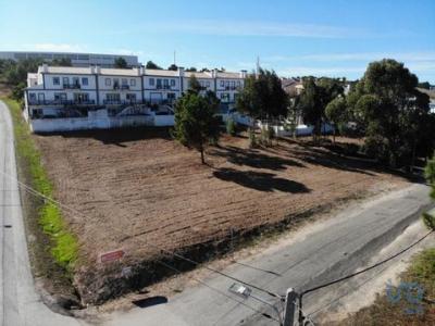 Vente Terrain TORRES-VEDRAS 2560