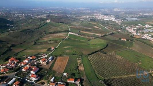 Vente Terrain TORRES-VEDRAS 2560