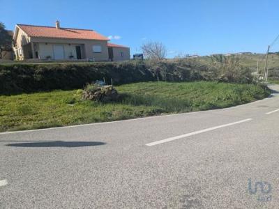 Vente Terrain TORRES-VEDRAS 2560