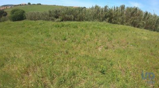 Vente Terrain TORRES-VEDRAS 2560
