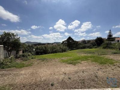 Vente Terrain TORRES-VEDRAS 2560