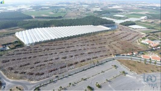 Vente Terrain TORRES-VEDRAS 2560