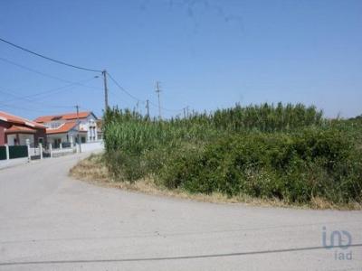 Vente Terrain TORRES-VEDRAS 2560