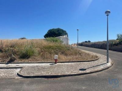 Vente Terrain TORRES-VEDRAS 2560