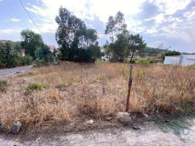 Vente Terrain TORRES-VEDRAS 2560