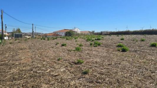 Vente Terrain TORRES-VEDRAS 2560