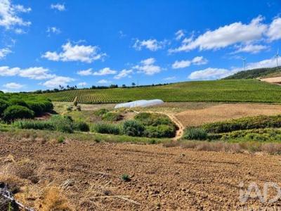 Vente Maison TORRES-VEDRAS 2560