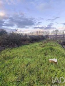Vente Terrain TROFA 3750