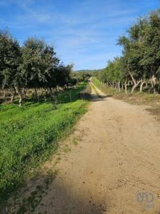 Vente Maison 6 pices VIDIGUEIRA 7960