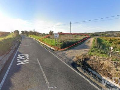 Vente Terrain VIDIGUEIRA 7960