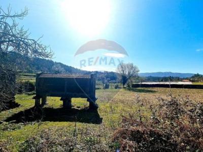 Vente Terrain VIEIRA-DO-MINHO 4850