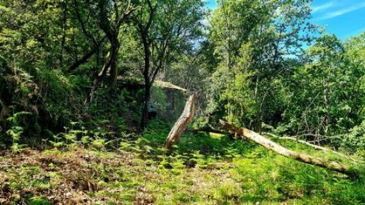 Vente Terrain VIEIRA-DO-MINHO 4850