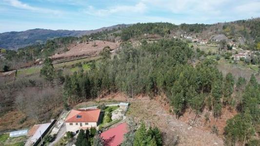 Vente Terrain VIEIRA-DO-MINHO 4850