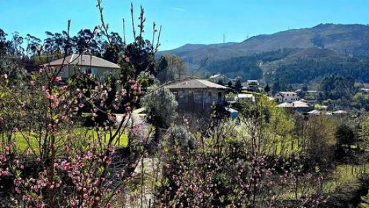 Vente Maison VIEIRA-DO-MINHO 4850