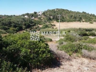 Vente Terrain VILA-DO-BISPO 8650