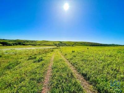 Vente Terrain VILA-DO-BISPO 8650