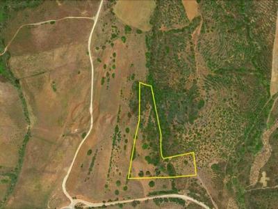 Vente Terrain VILA-DO-BISPO 8650