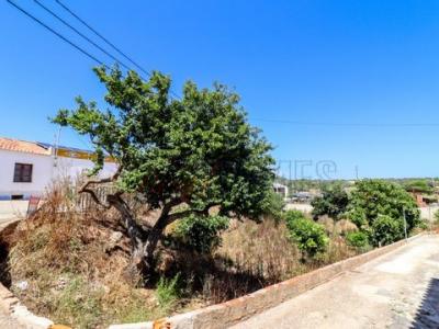 Vente Terrain VILA-DO-BISPO 8650