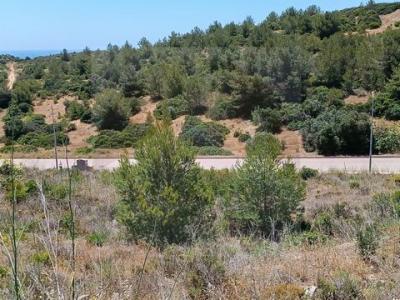 Vente Terrain VILA-DO-BISPO 8650