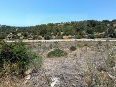 Vente Terrain VILA-DO-BISPO 8650