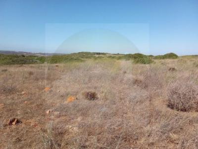 Vente Terrain VILA-DO-BISPO 8650