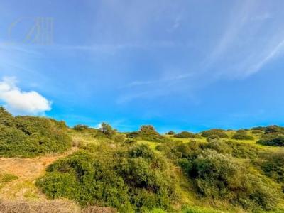 Vente Terrain VILA-DO-BISPO 8650