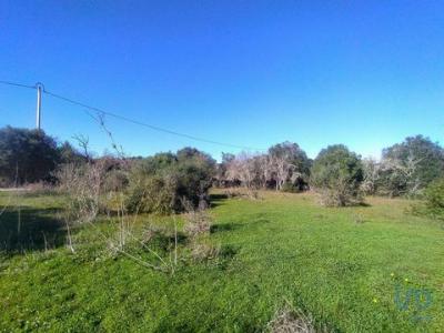 Vente Terrain VILA-DO-BISPO 8650