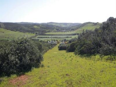 Vente Terrain VILA-DO-BISPO 8650