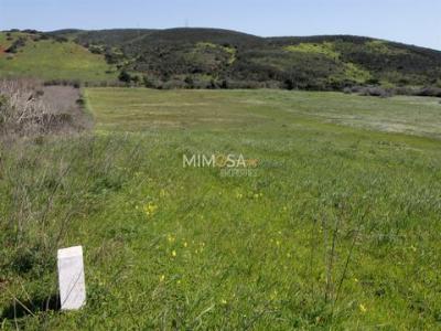 Vente Terrain VILA-DO-BISPO 8650