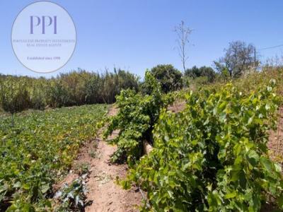 Vente Terrain VILA-DO-BISPO 8650