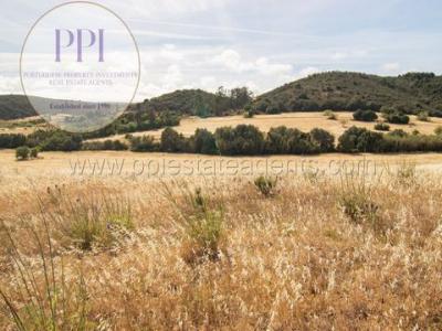 Vente Terrain VILA-DO-BISPO 8650