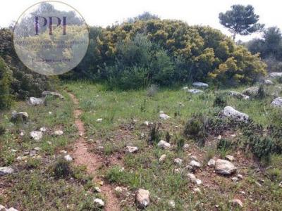 Vente Terrain VILA-DO-BISPO 8650