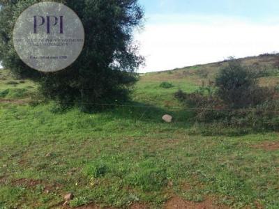 Vente Terrain VILA-DO-BISPO 8650