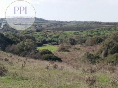 Vente Terrain VILA-DO-BISPO 8650