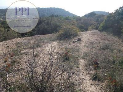 Vente Terrain VILA-DO-BISPO 8650