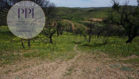 Vente Terrain VILA-DO-BISPO 8650