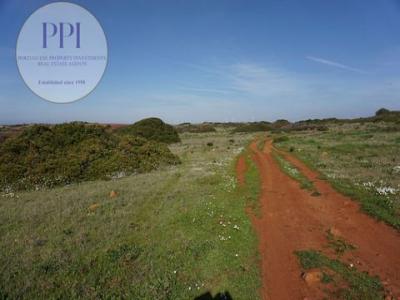 Vente Terrain VILA-DO-BISPO 8650