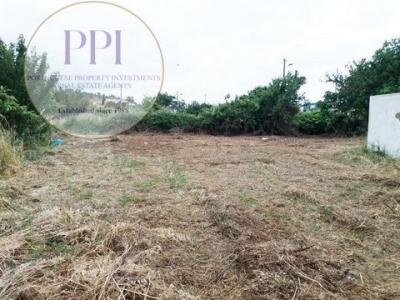 Vente Terrain VILA-DO-BISPO 8650