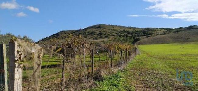 Vente Terrain VILA-DO-BISPO 8650