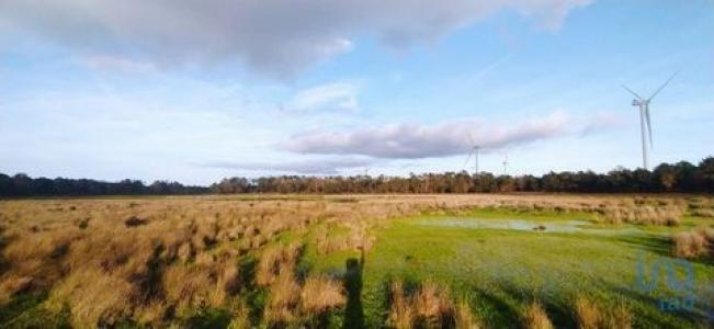 Vente Terrain VILA-DO-BISPO 8650