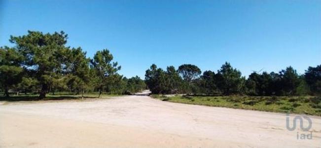 Vente Terrain VILA-DO-BISPO 8650