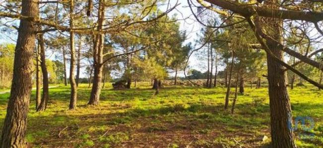 Vente Terrain VILA-DO-BISPO 8650