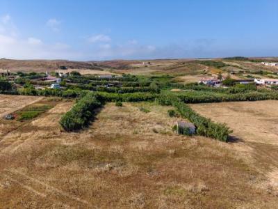 Vente Terrain VILA-DO-BISPO 8650