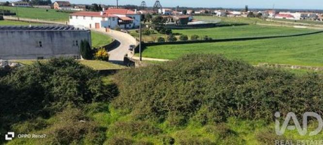 Vente Terrain VILA-DO-CONDE 4480