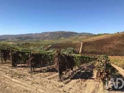 Vente Maison VILA-FLOR 5360