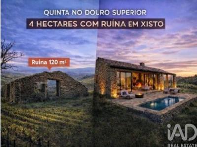 Vente Terrain VILA-NOVA-DE-FOZ-COA 5150