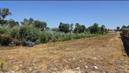 Vente Terrain VILA-NOVA-DE-GAIA 4400