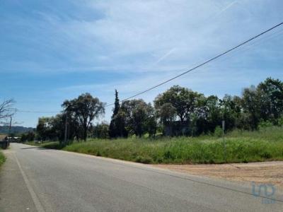 Vente Terrain VILA-NOVA-DE-POIARES 3350